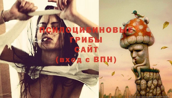тгк Алзамай