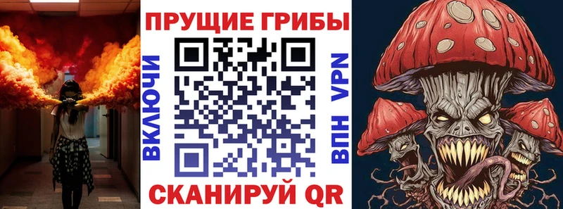 Галлюциногенные грибы Psilocybe  Волжский 