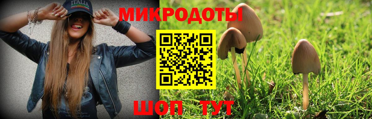 Волжский  Галлюциногенные грибы ЛСД  Вход с VPN 